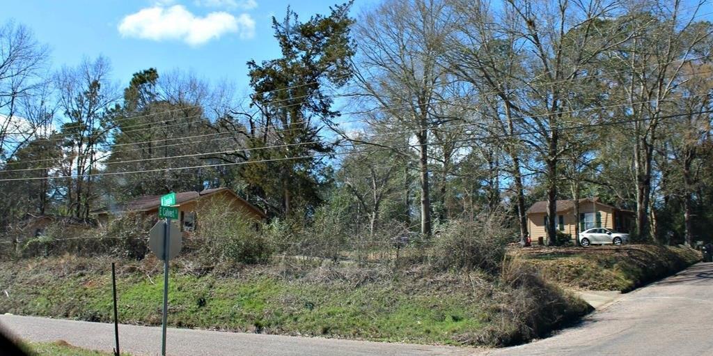 Property Image for 857 N Zavalla Street