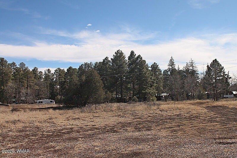 Property Image for 21230027B W White Mountain Blvd