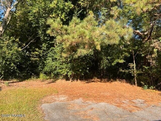 Property Image for 300 Blk Glaser Drive lot: See Plat