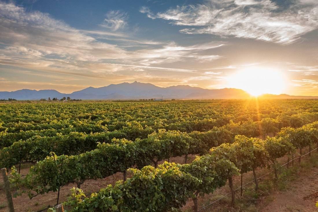 Property Image for PILLSBURY WINE  COMPANY 6450 South Bennett Place