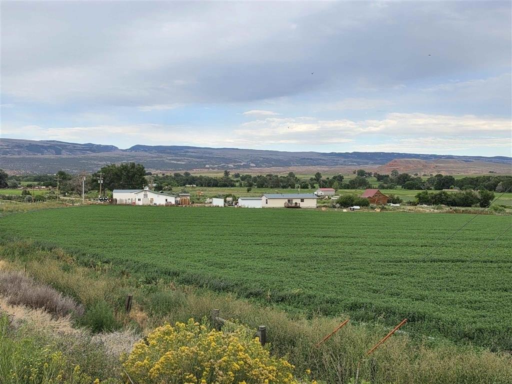 Property Image for 4850 Cold Springs Rd