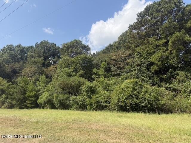 Property Image for U S Highway 49