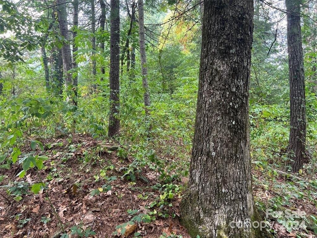 Property Image for 3967 Howard Gap Road