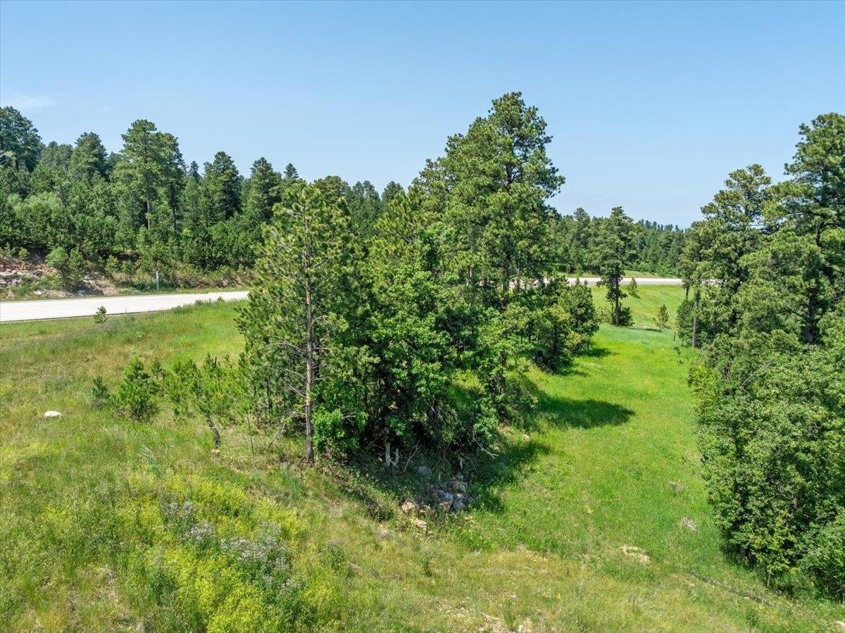 Property Image for Lot 1 US Highway 85