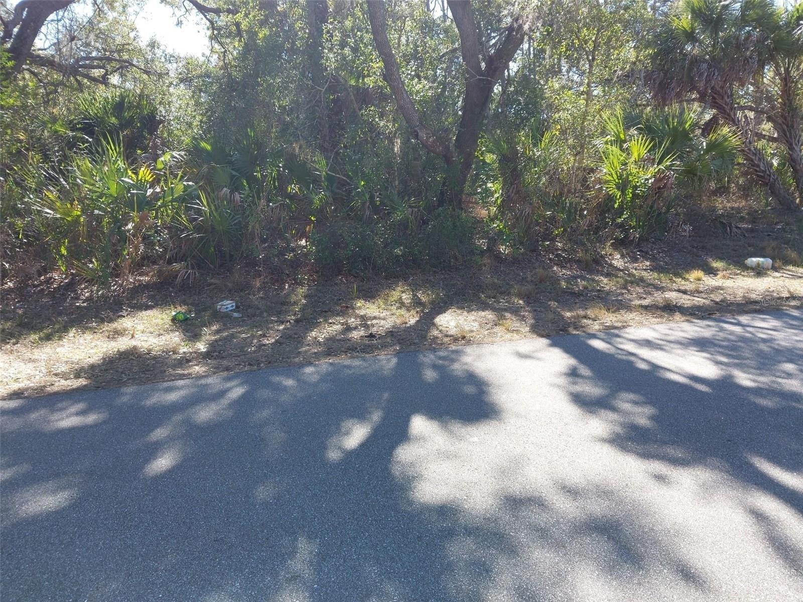 Property Image for 343 Bamboo Drive