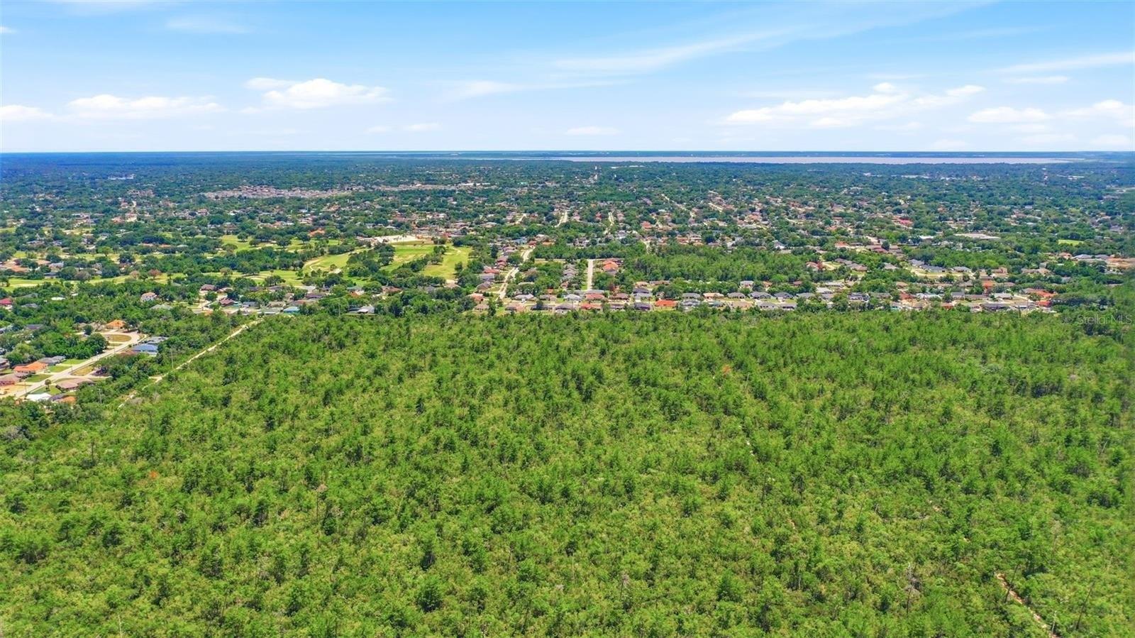 Property Image for AMELIA (PAPER) Avenue