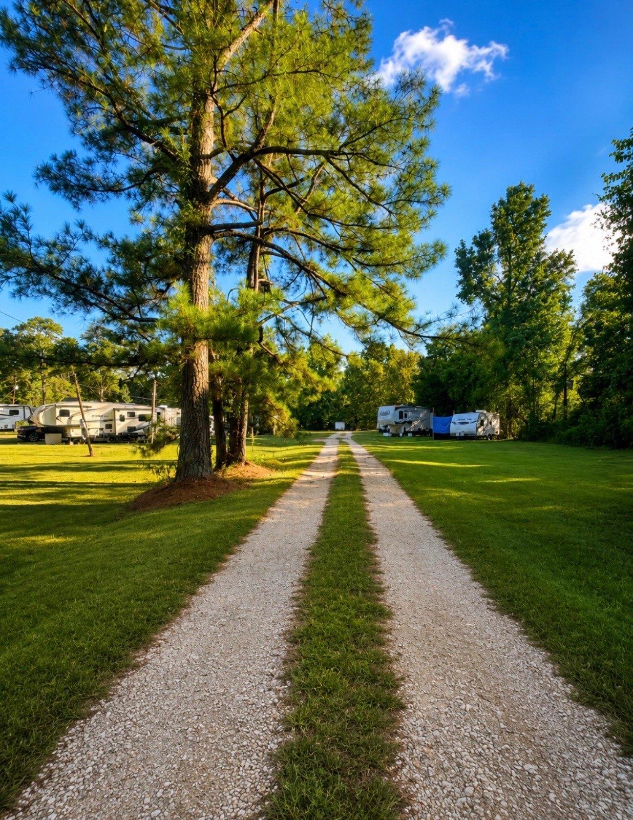 Property Image for 1109 Arnold drive
