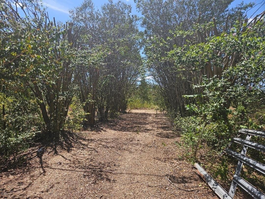Property Image for 358 S Highway 95 S