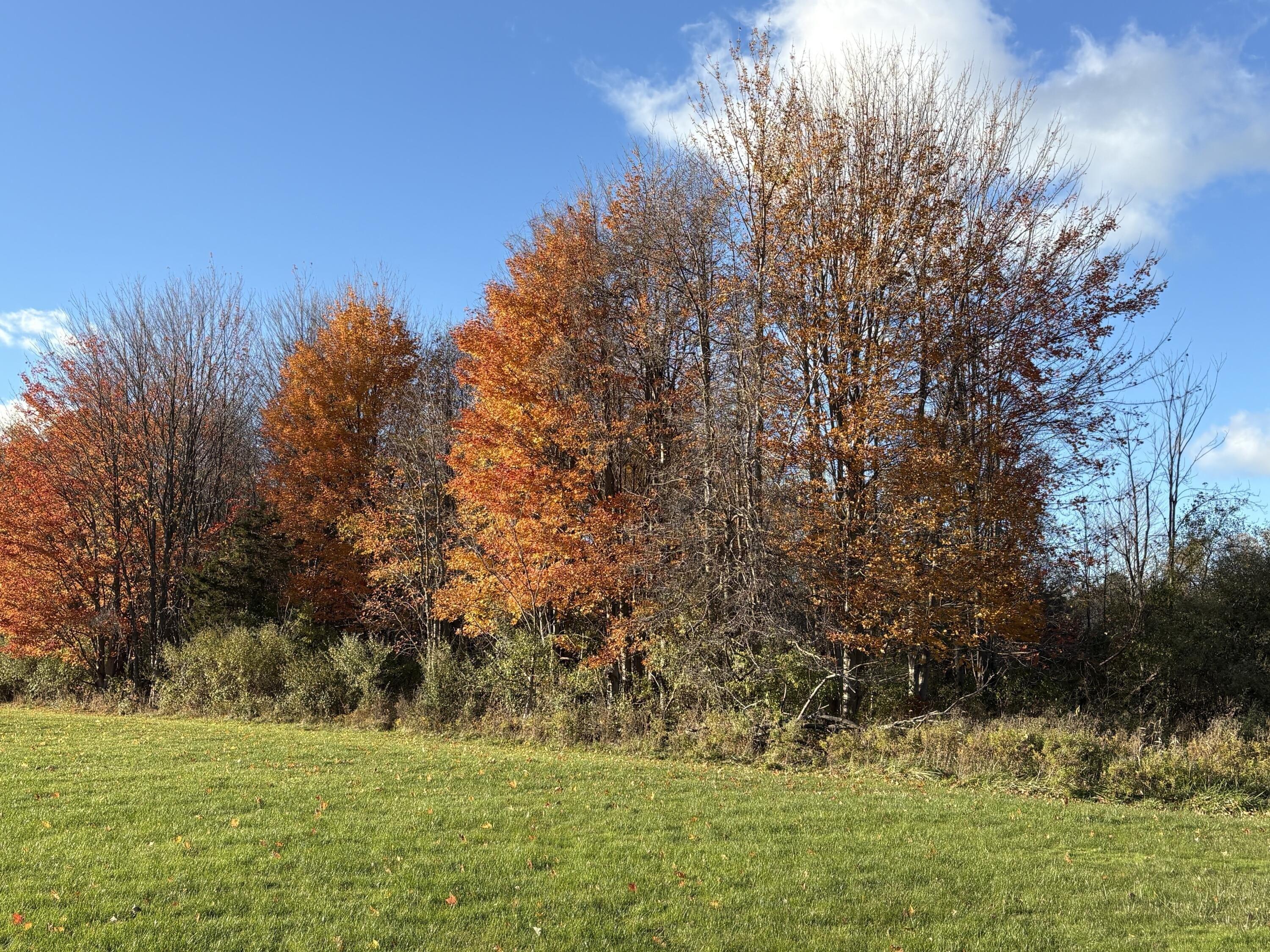 Property Image for 2930 S Blue Star Highway