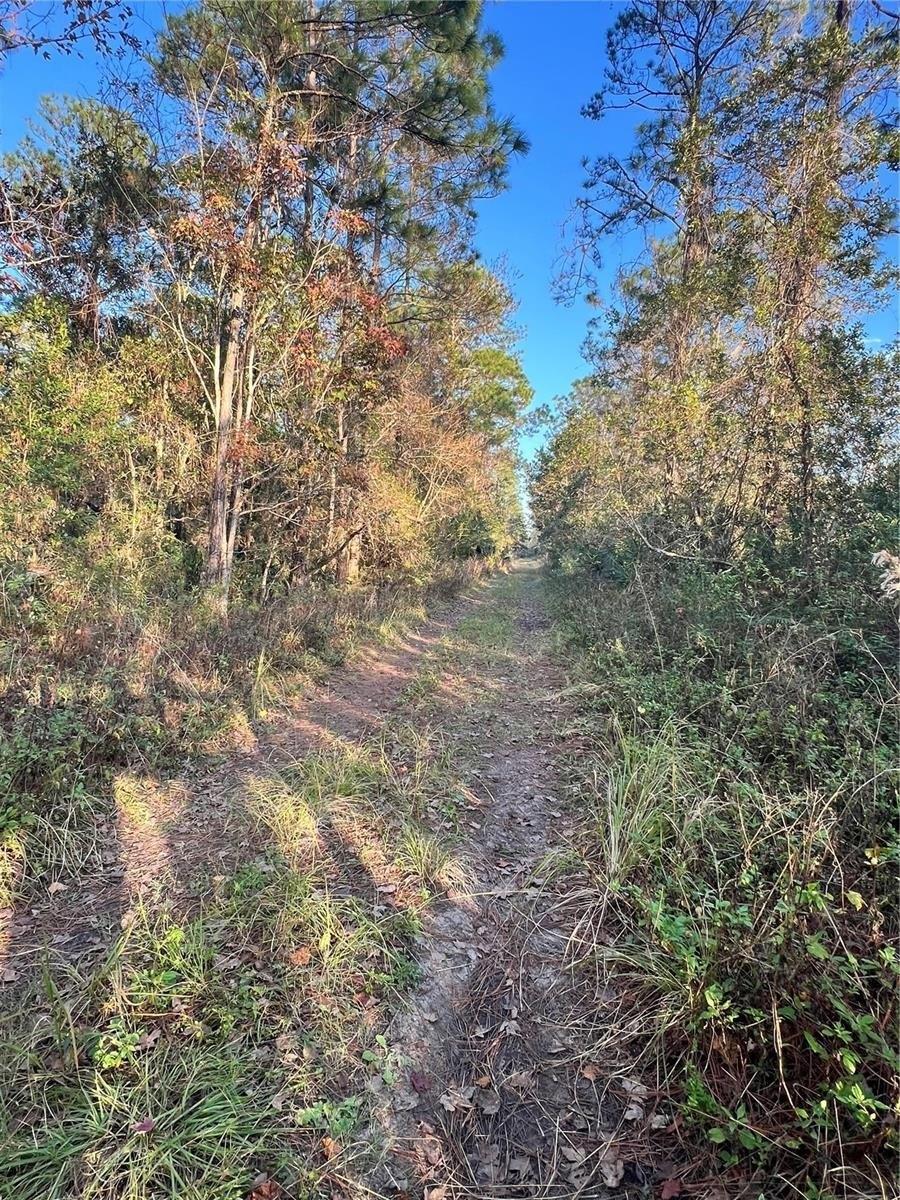 Property Image for University Highlands/ Deland Crossings