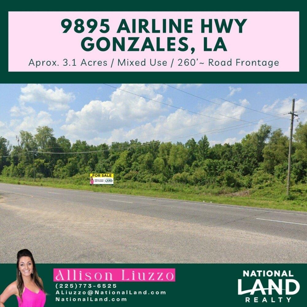 Property Image for 9895 Airline Hwy