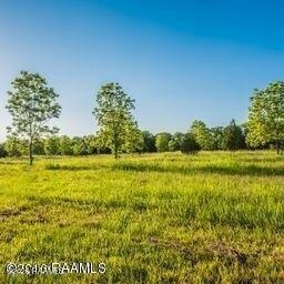 Property Image for Cypress Island Highway 0000