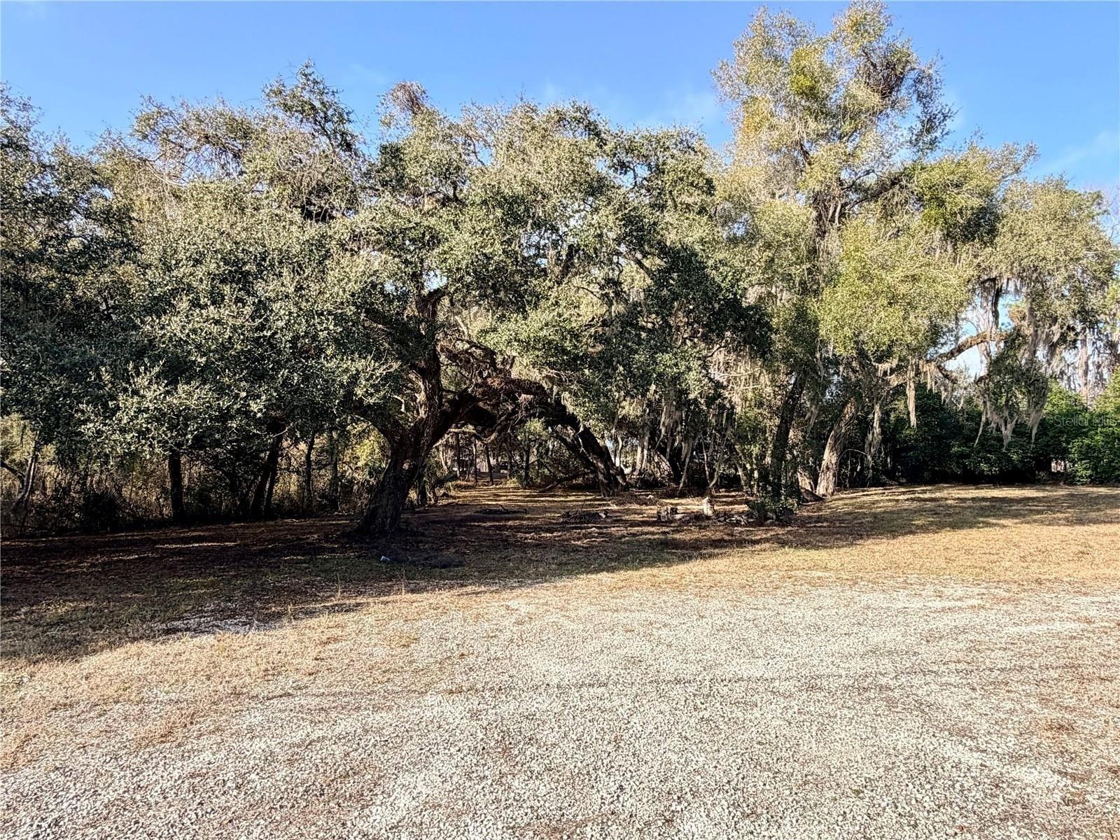 Property Image for 5666 S FLORIDA Avenue