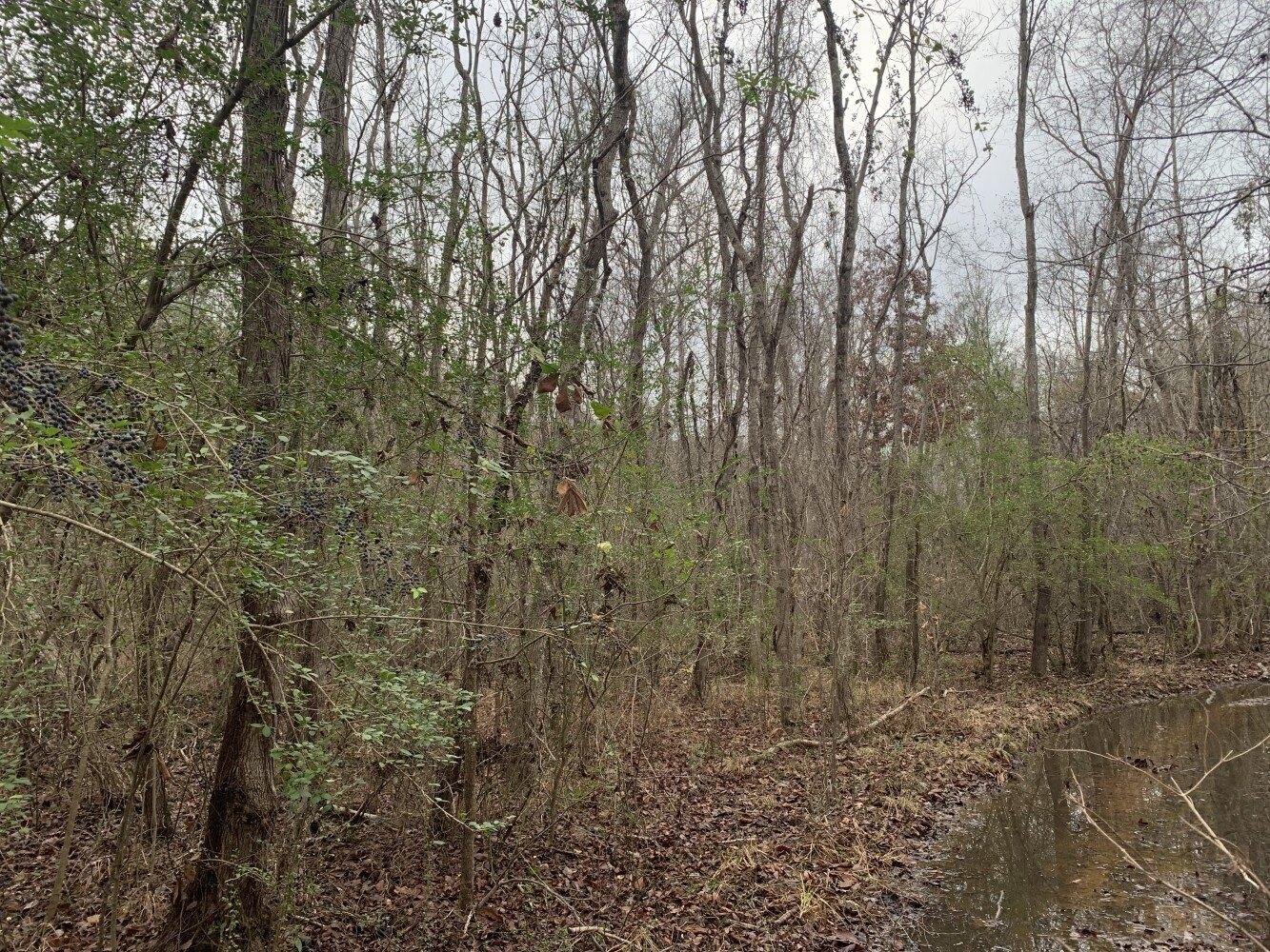 Property Image for 0 Holly Ridge Rd.