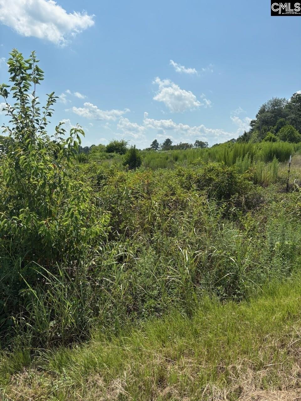 Property Image for 1153 West Hampton Road