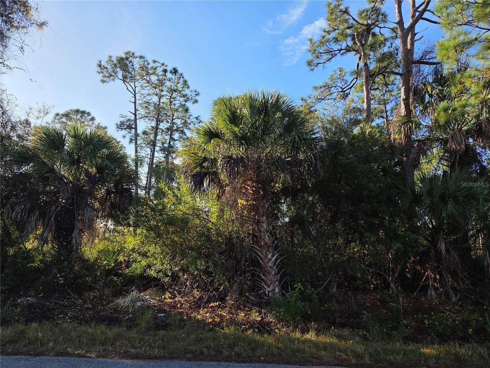 Property Image for 23507 SPENCER Court