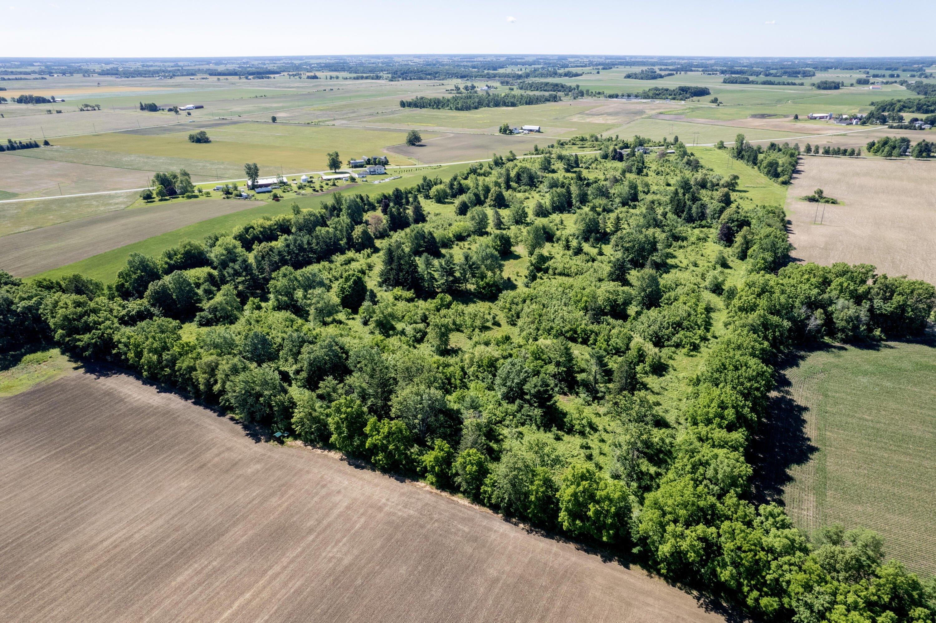 Property Image for 11000 Macon Highway