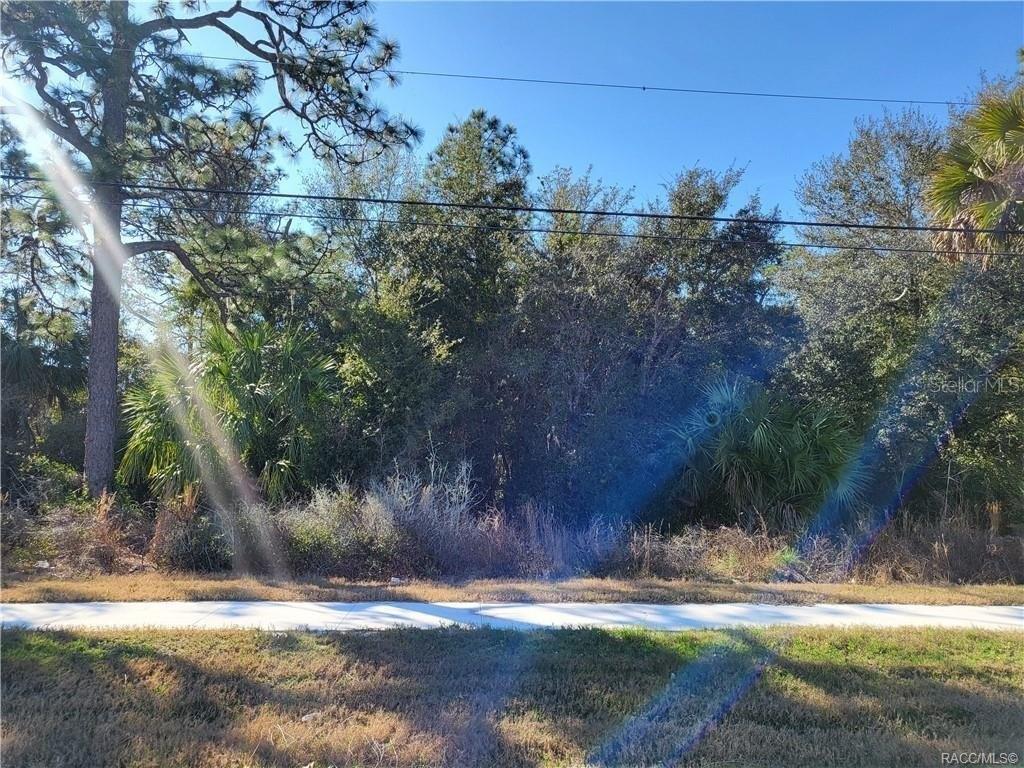Property Image for 1224 S SUNCOAST Boulevard