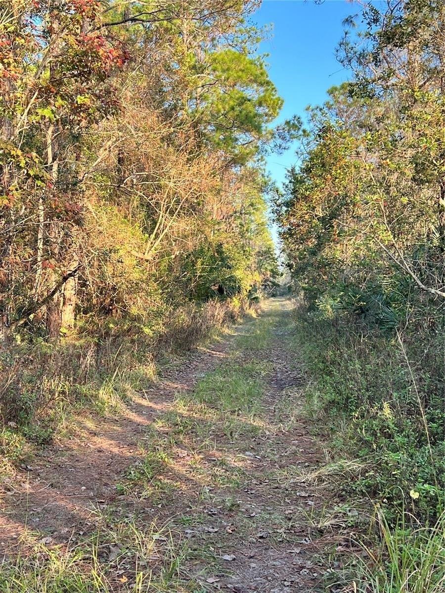 Property Image for University Highlands/ Deland Crossings