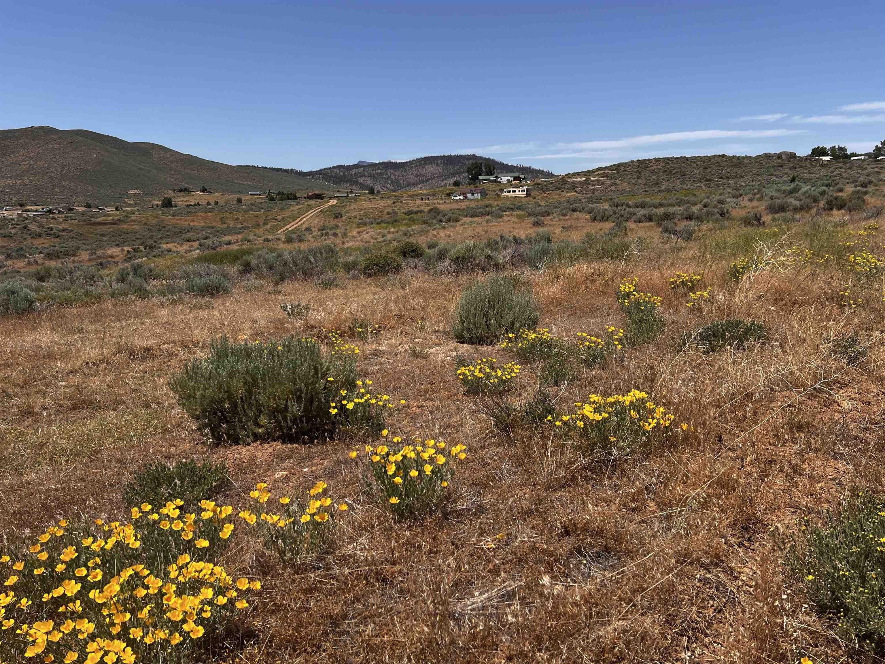 Property Image for 95015 Half Mile Road