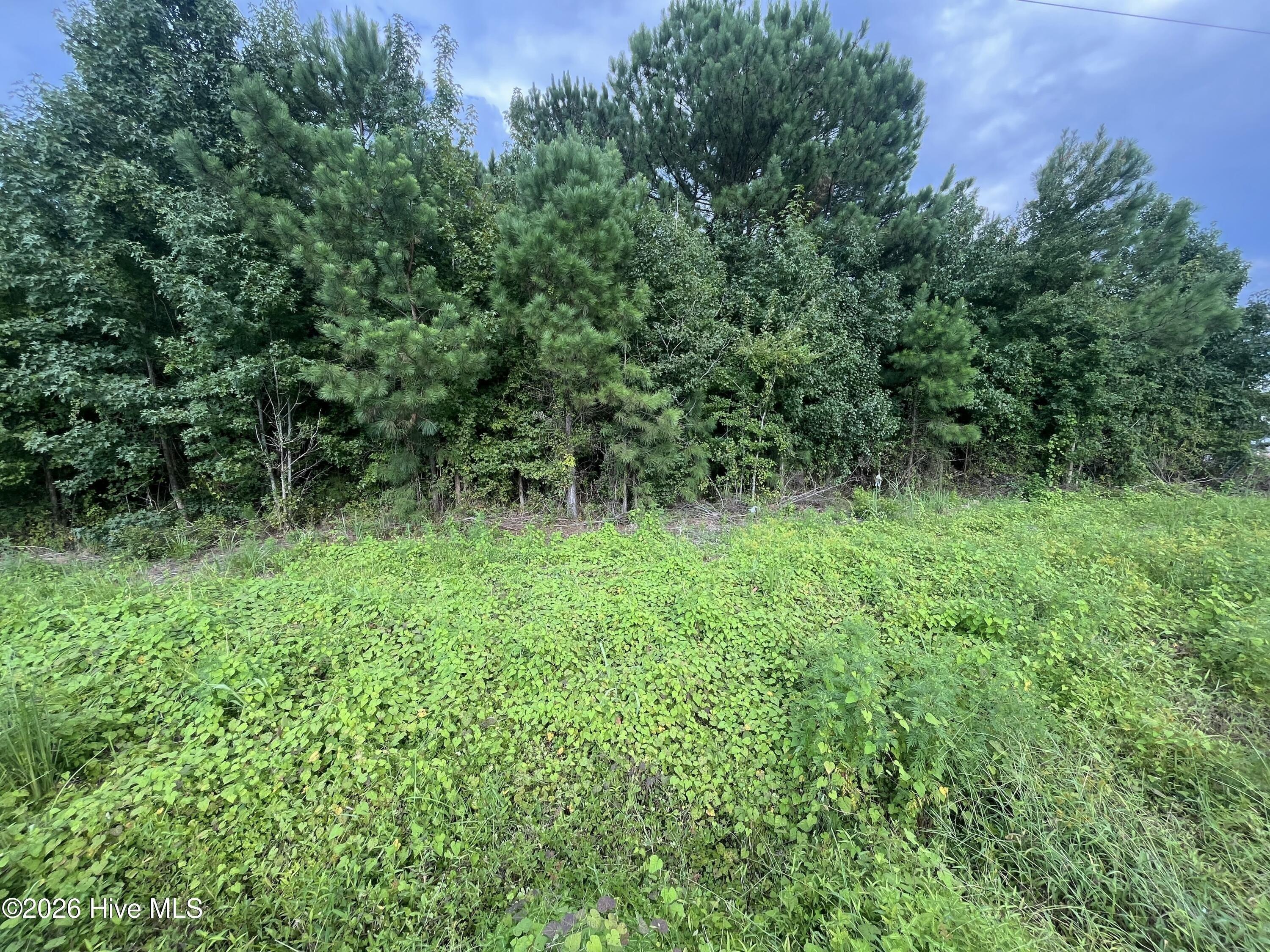 Property Image for Near 1008 N Brown Street