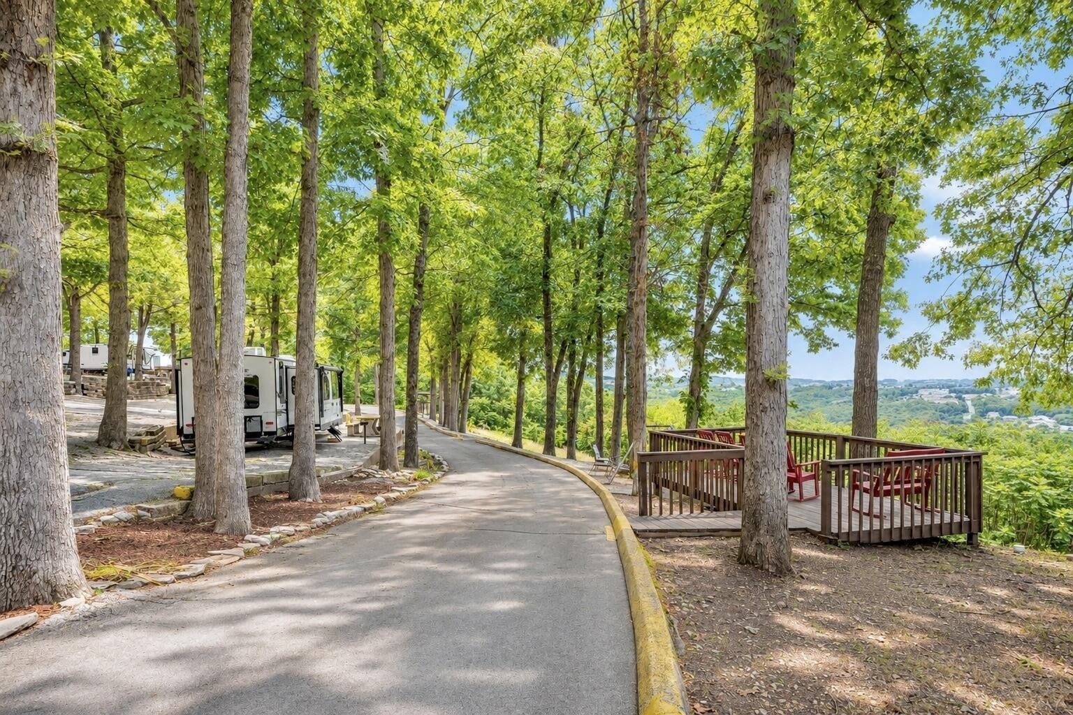 Property Image for 2362 State Hwy 265
