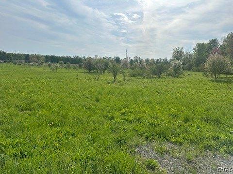 Property Image for 9124 turin rd