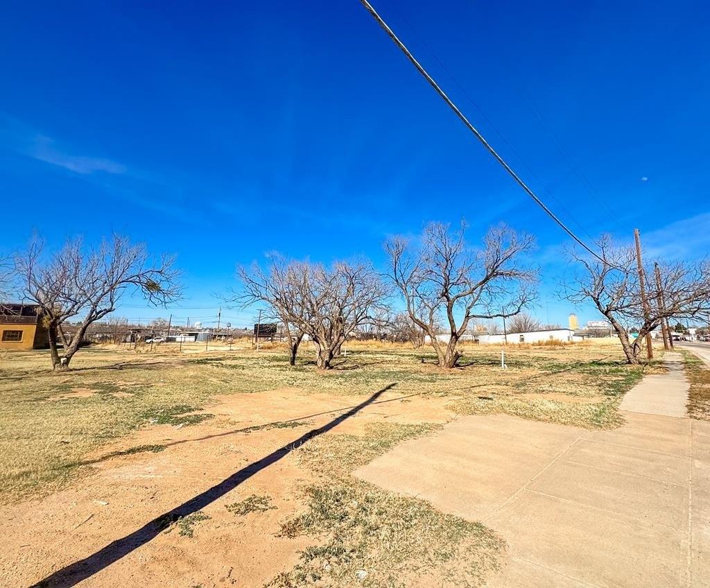Property Image for 806&814 W 4th St