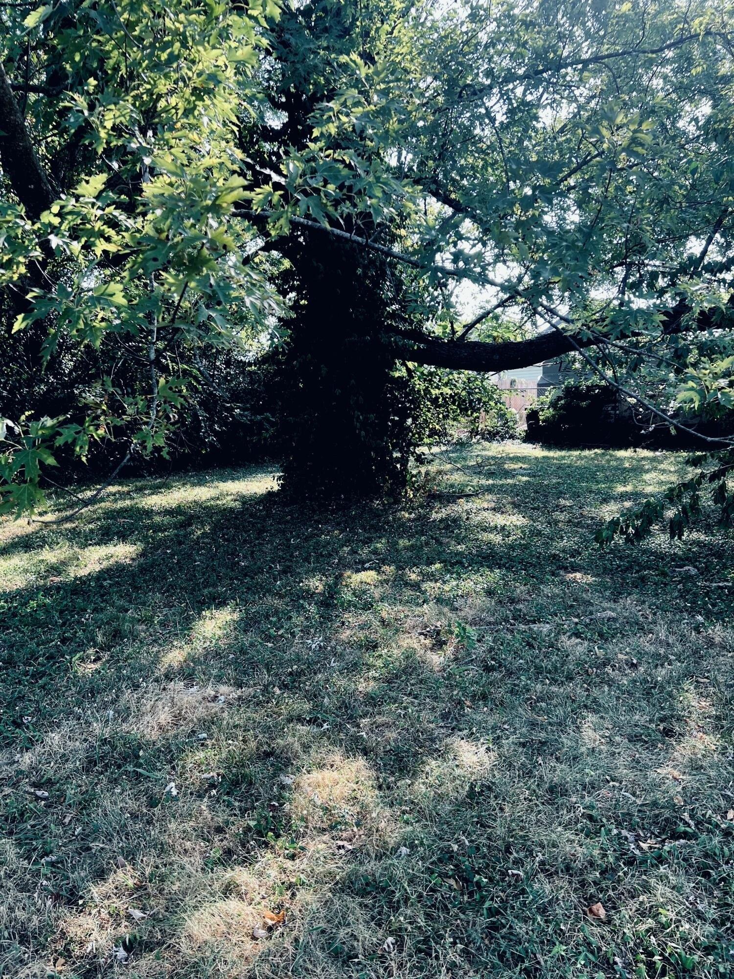 Property Image for 502 W Kearney Street