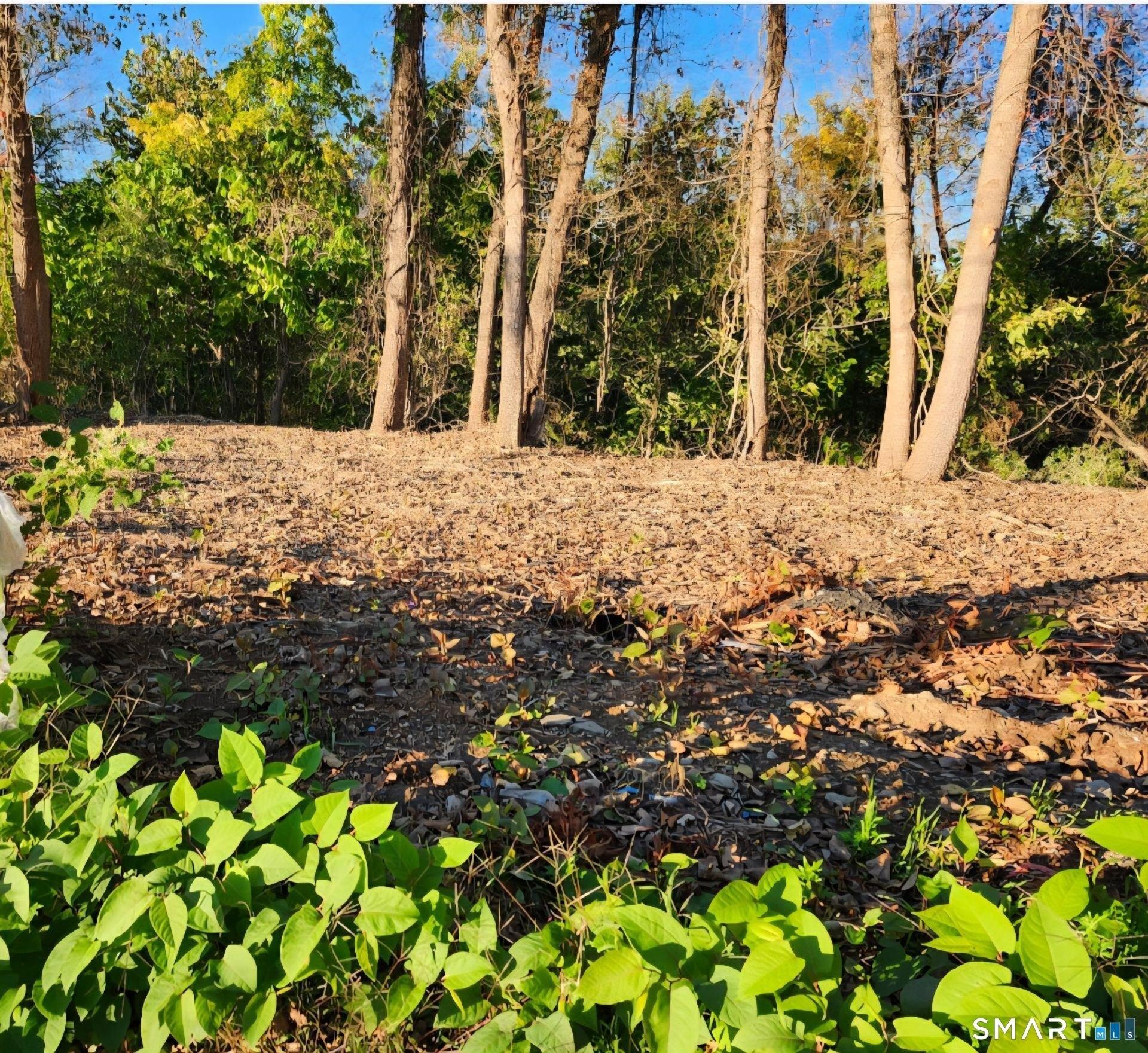 Property Image for 171 Otrobando Avenue