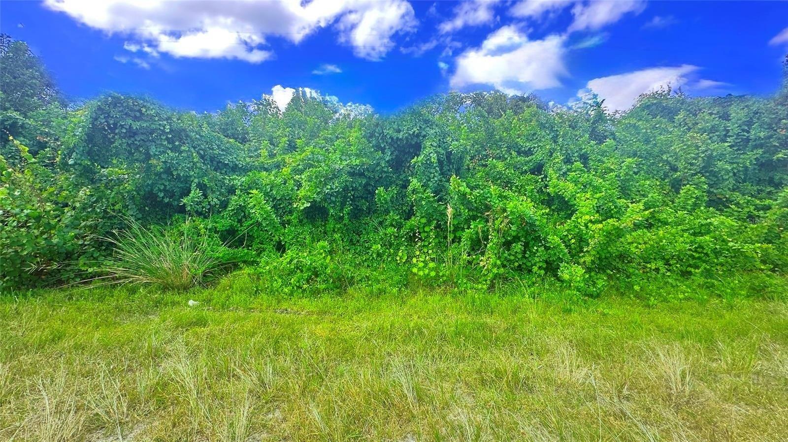 Property Image for 10 SW 24TH Avenue
