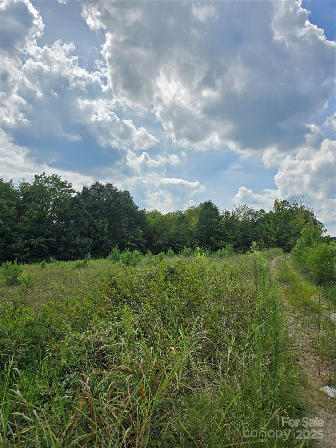 Property Image for 1768 Concord Lake Road