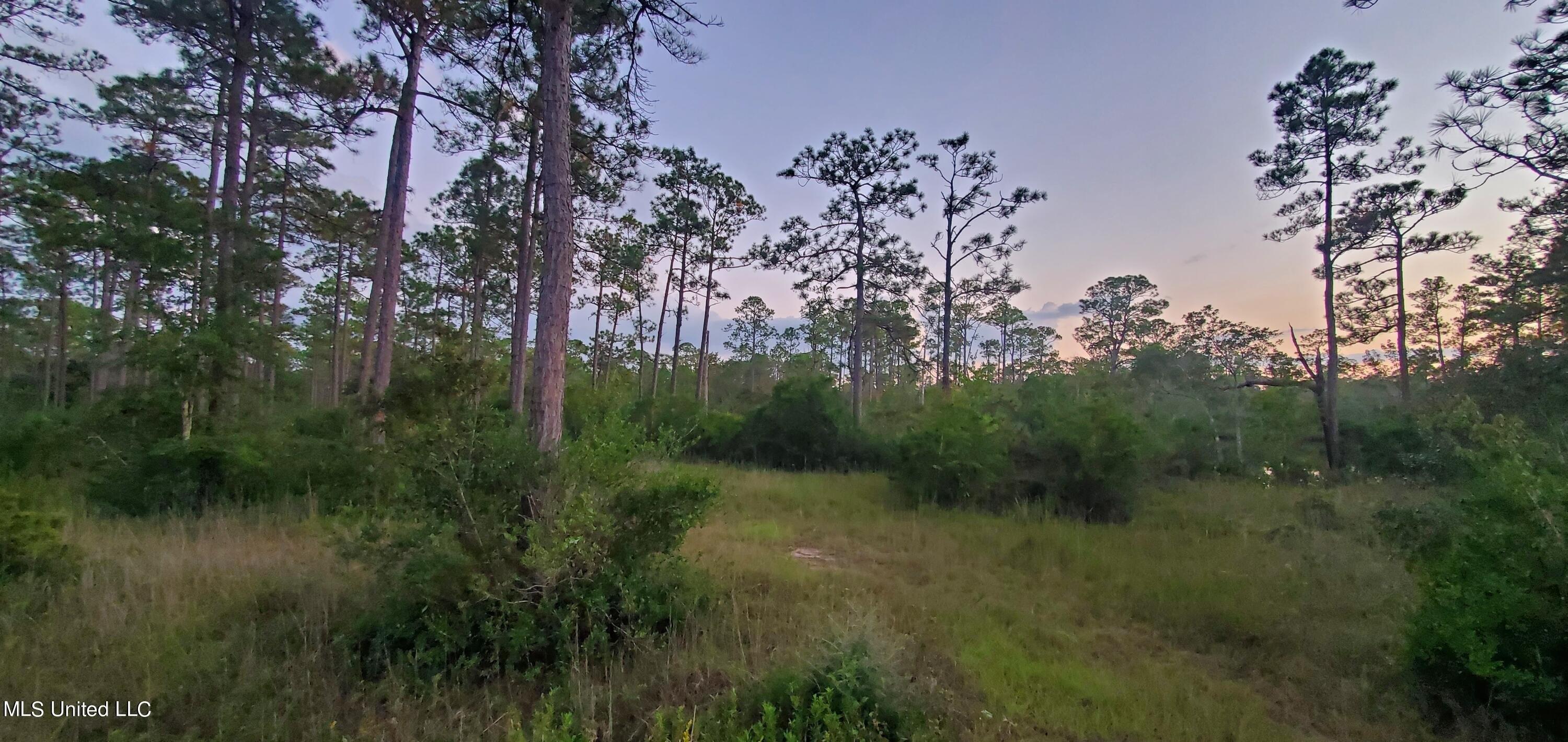 Property Image for 8317 Ms-57