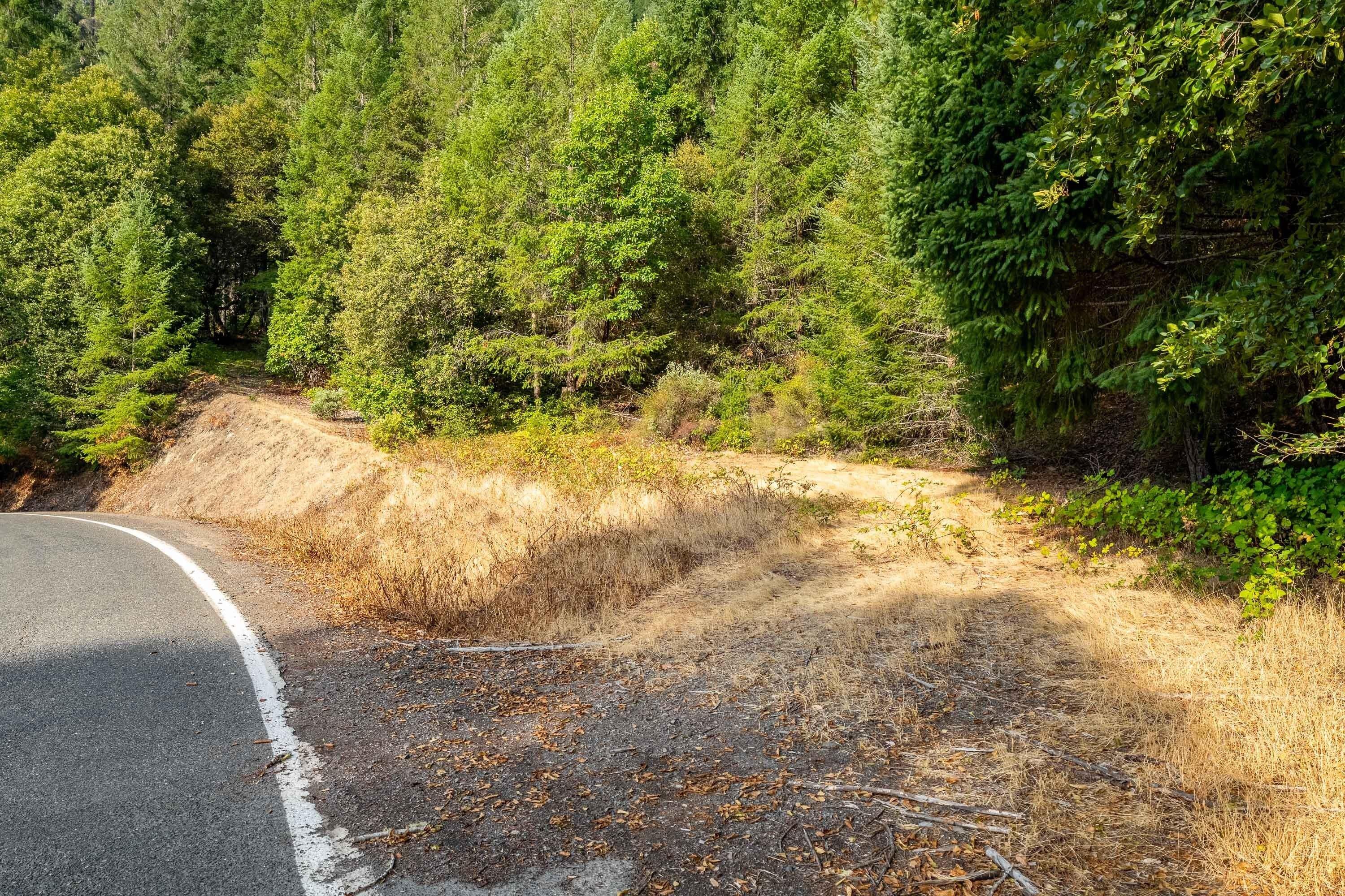 Property Image for 21800 Lower Grave Creek Road