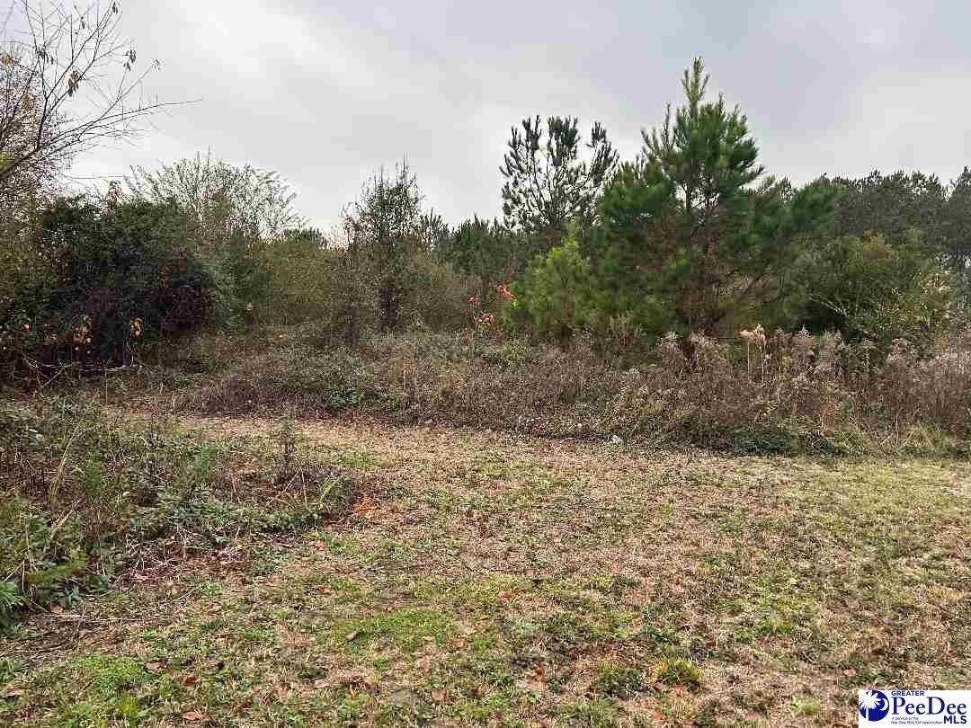 Property Image for TBD Mciever Rd