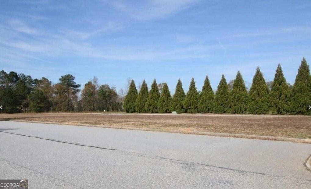 Property Image for 367 SE Athens Highway #2800