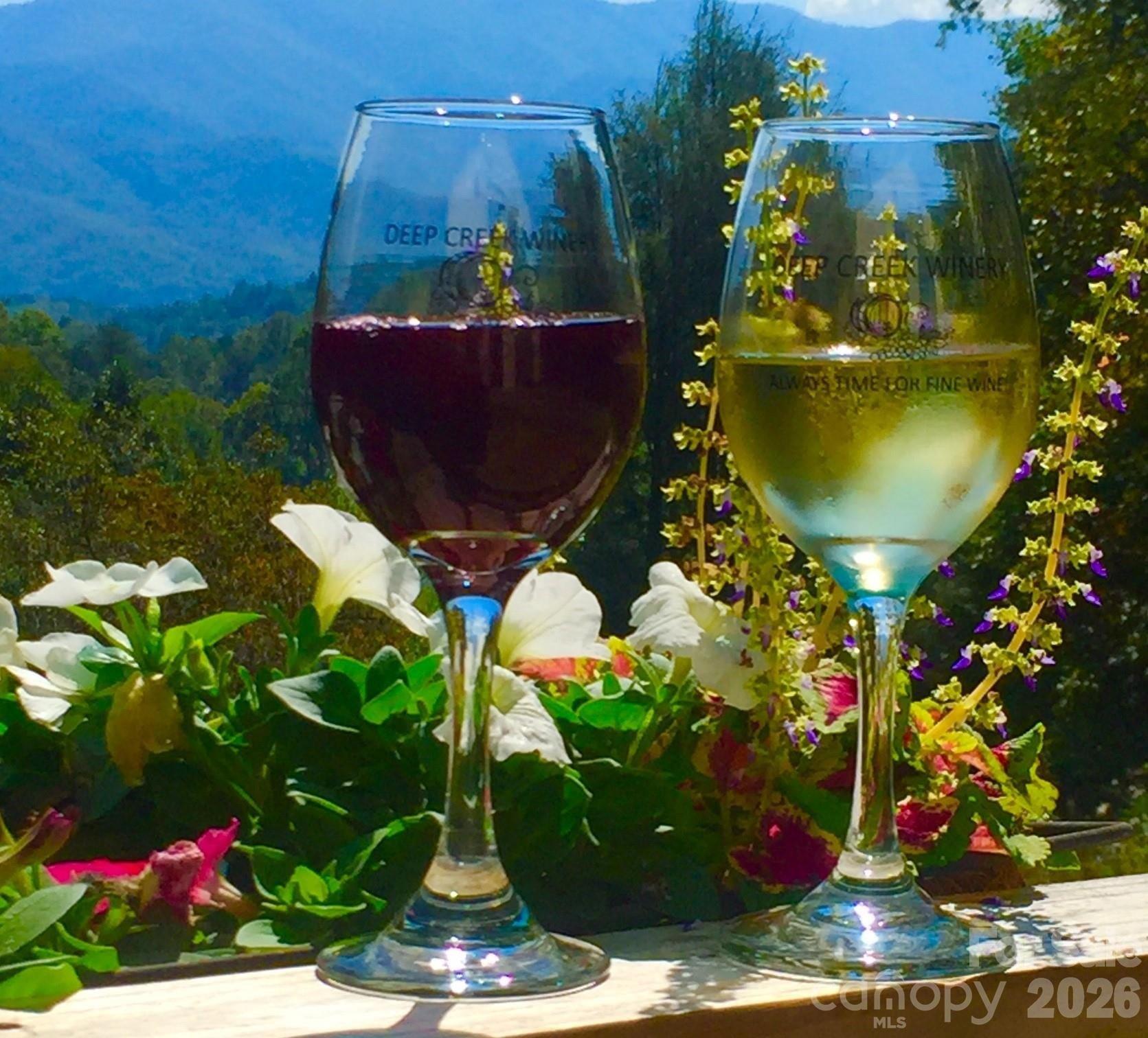 Property Image for 405 Johnathan Walk Road