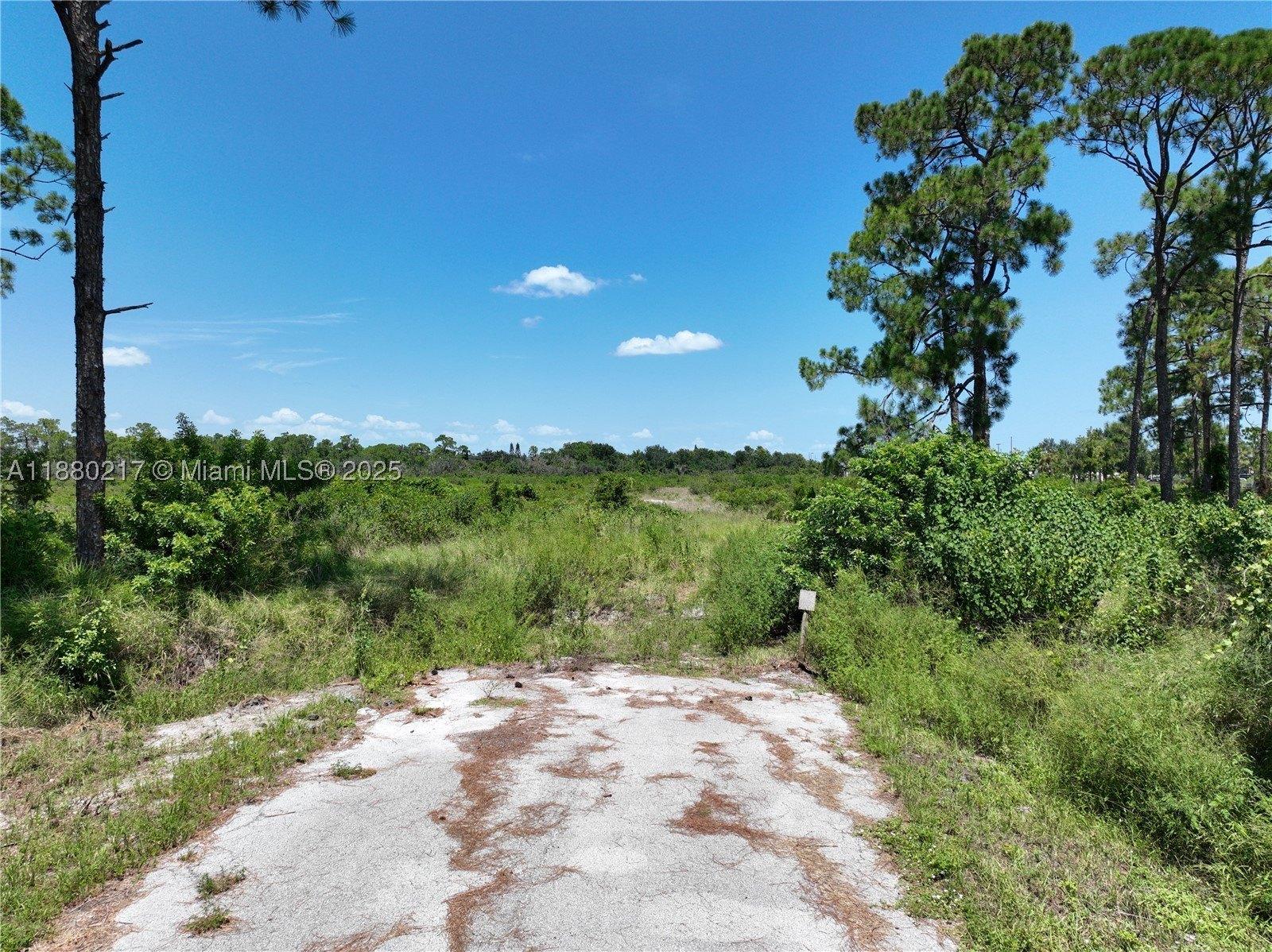 Property Image for 530 Lotus