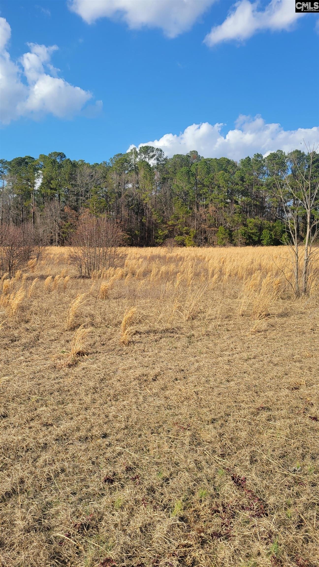Property Image for 0 Old Sandy Run Road