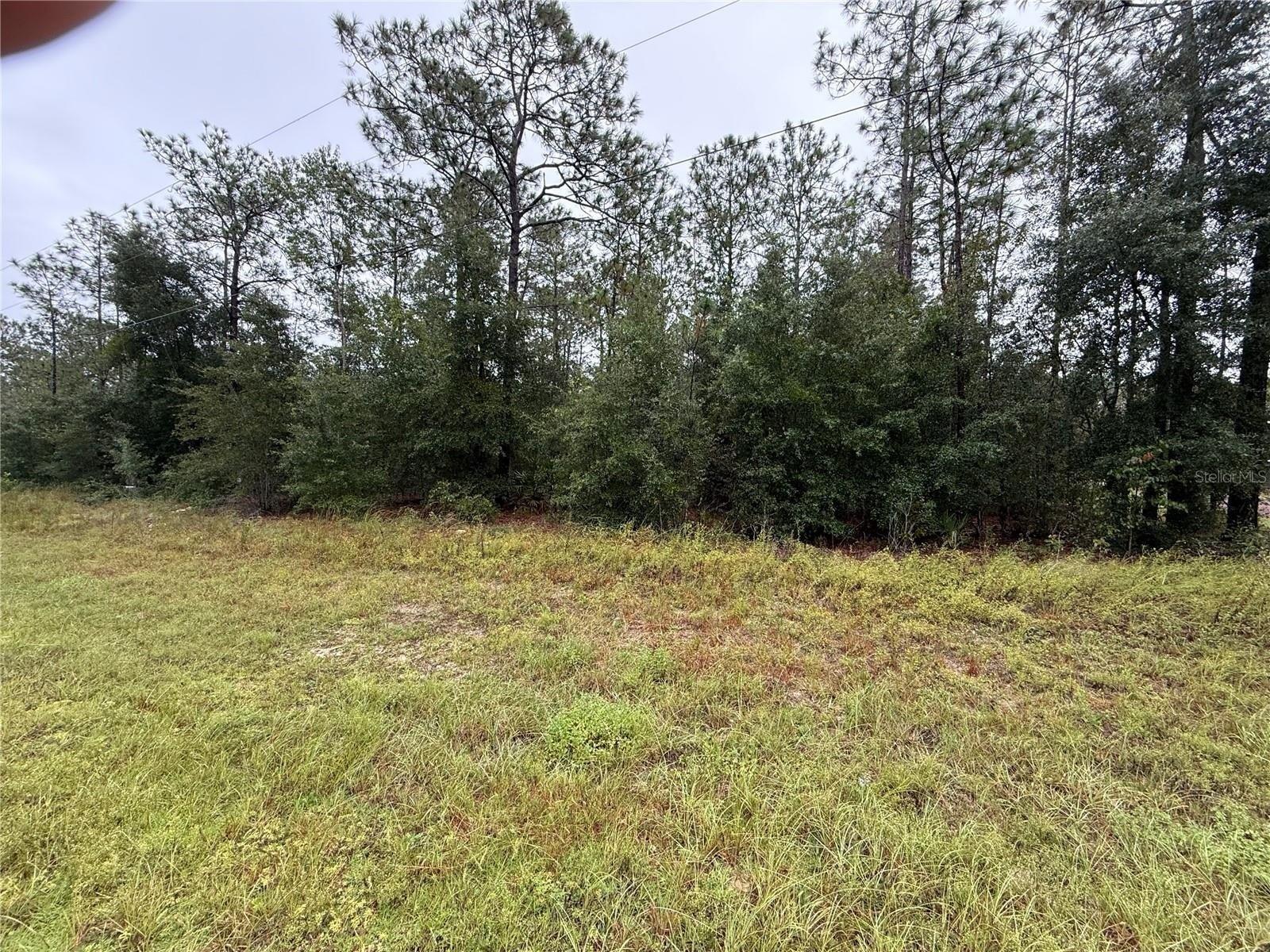 Property Image for Sw Marion Oaks Course