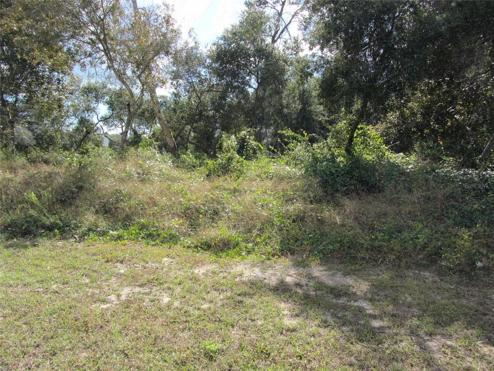 Property Image for 1680 Catalina Blvd