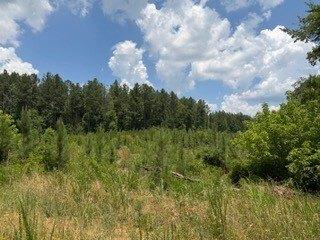 Property Image for 4200 and 4150 Joe Bost Road