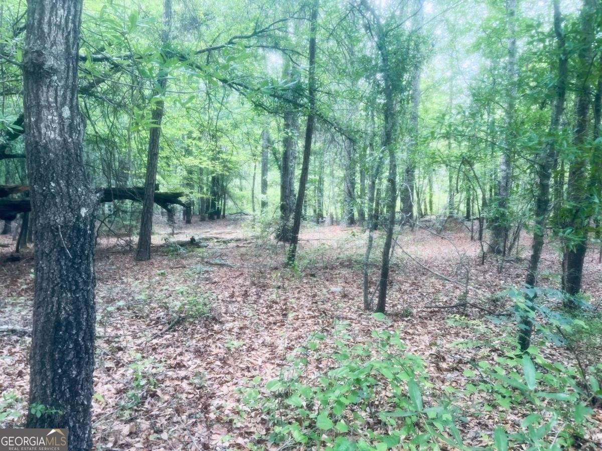 Property Image for 128 BENNETT Drive