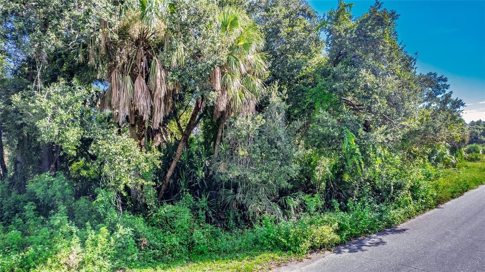Property Image for 1104 BUENA VISTA Circle