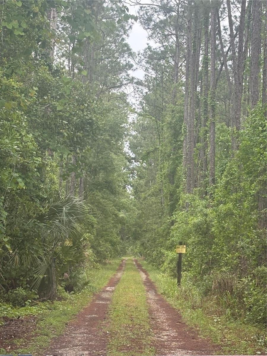 Property Image for No Street