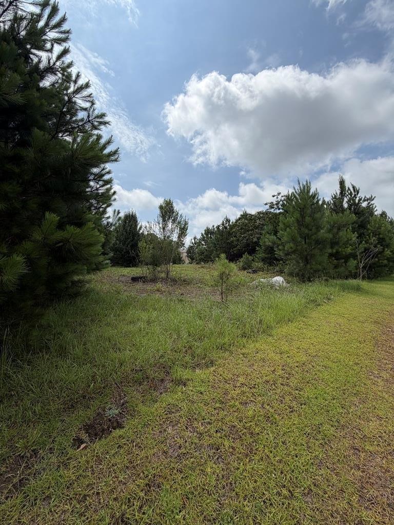 Property Image for 105 Obrannan Park Drive