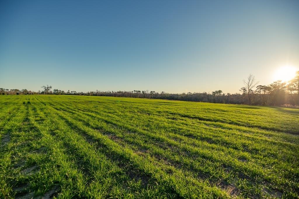 Property Image for 02 Clay